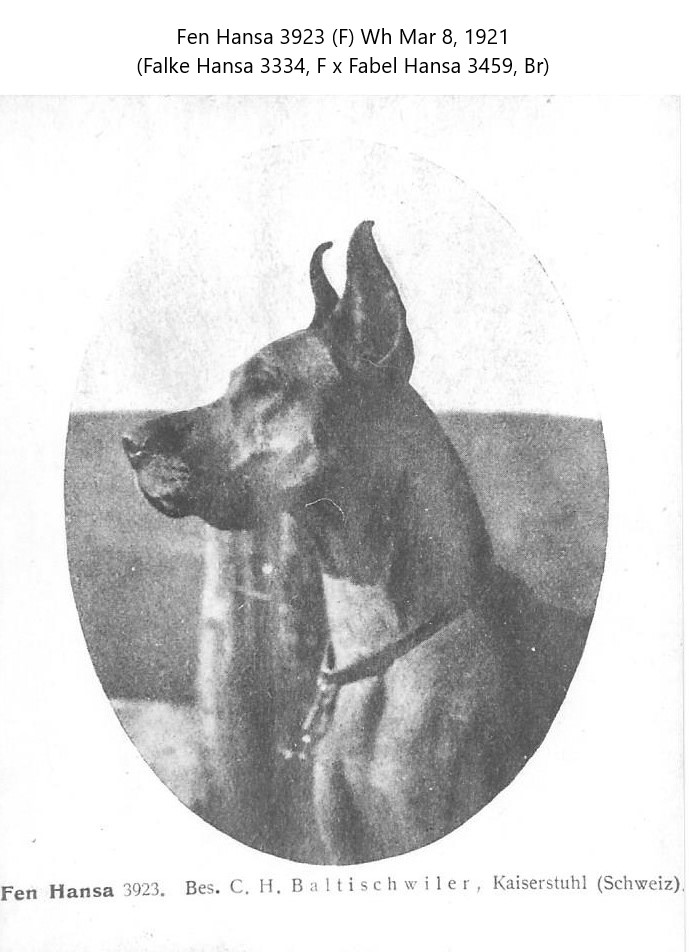 Fen Hansa